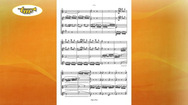 Flight Of Elise - Saxophone Quartet - Korsakov - van Beethoven - Tierolff смотреть онлайн