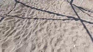 Турция, город Сиде  Обзор отеля Club Nena 5 *****