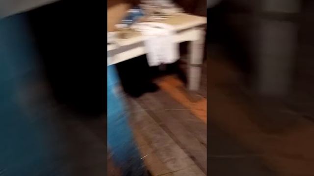 Крольчаткам 1,5 и 2,5 месяца смотреть онлайн