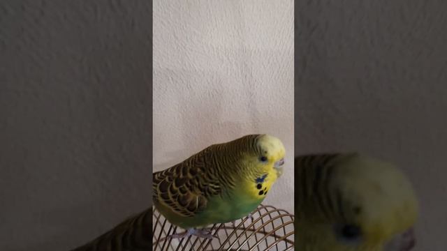 Мы вернулись!!! смотреть онлайн