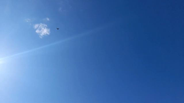 Николаевские голуби смотреть онлайн