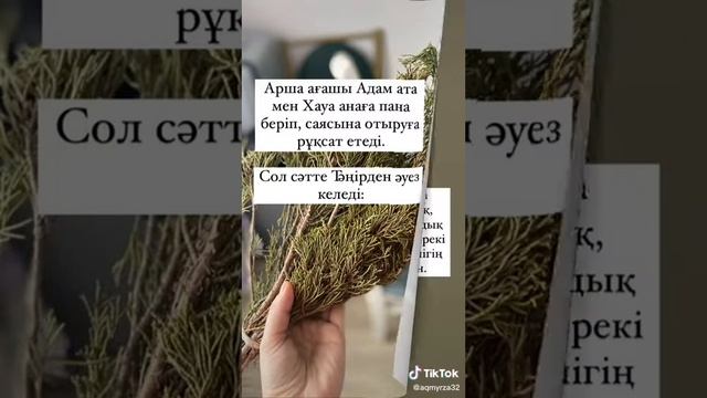 Аршаның адам баласына берер пайдасы. смотреть онлайн