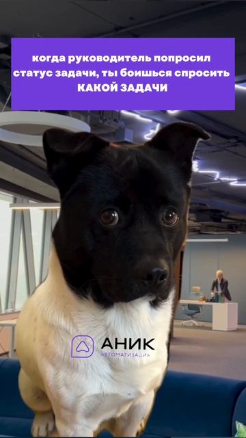 А, ой…

автоматизация бизнес-процессов вместе с @anik_crm (Внедрение Битрикс24 CRM Ан