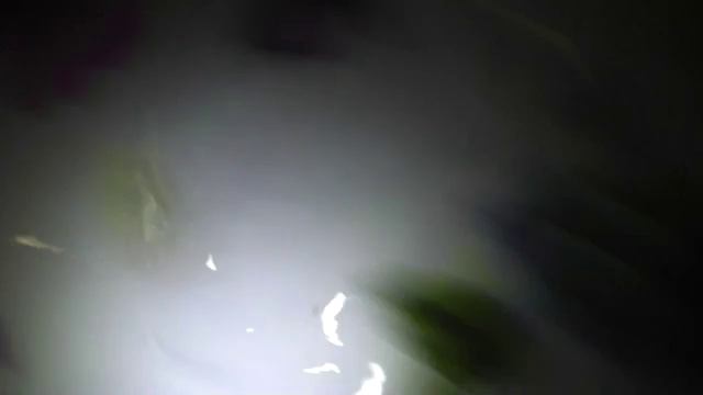 как проверить мед