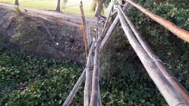 #Qua cau khi# bay chuot.cai ket ko ngo смотреть онлайн