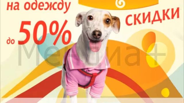 Лемурр смотреть онлайн
