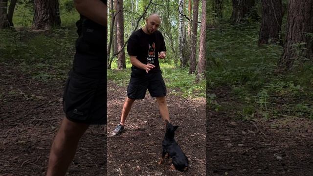4. команда - Лежать смотреть онлайн
