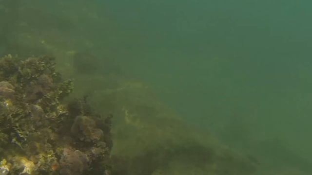 Turkey, Side 2013 HD смотреть онлайн