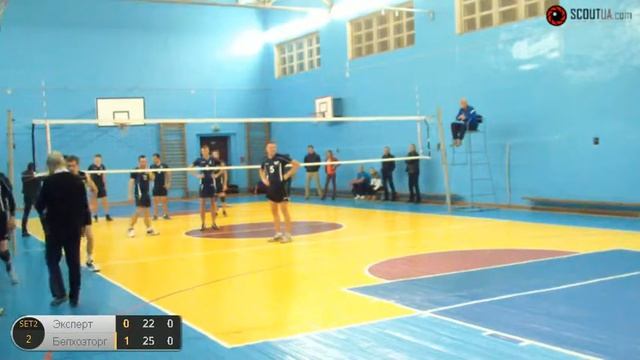 Д3. Эксперт - Белхозторг смотреть онлайн