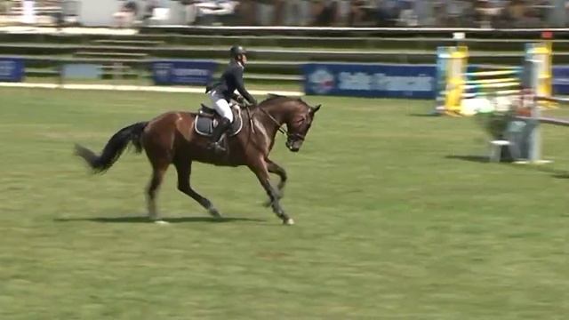 Tarpan de Bressieux Concours Cluny CIR juillet 2012 5 ans смотреть онлайн
