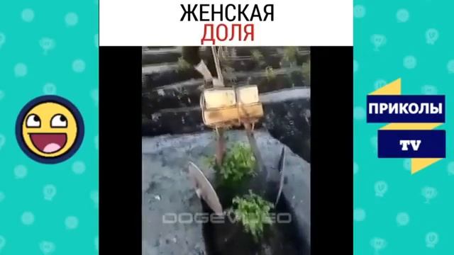 Подборка лучших видео смотреть онлайн