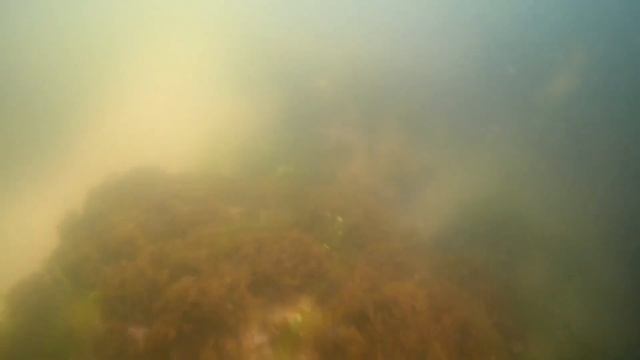 Антична споруда у воді поблизу Ольвії смотреть онлайн