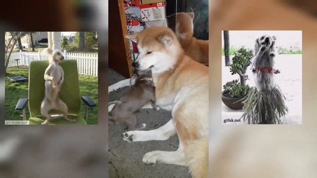 💭Рассказывает сказки на ночь✨ смотреть онлайн