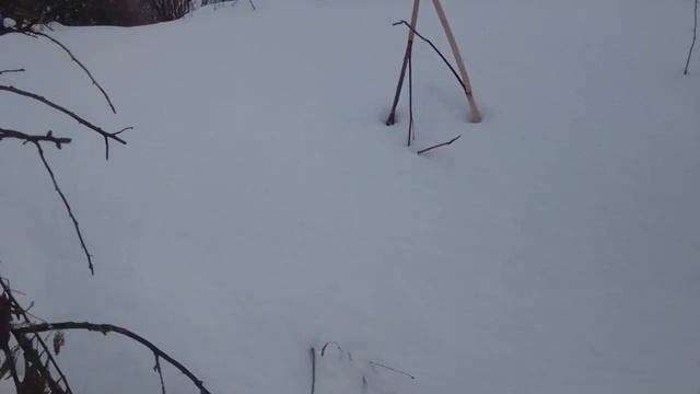 охота с пневматикой мр512