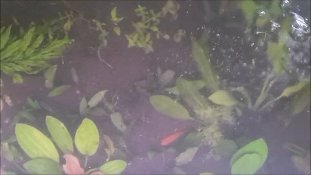 RiverSide 240L Day 1 смотреть онлайн