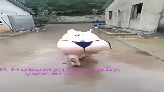 Хруша смотреть онлайн