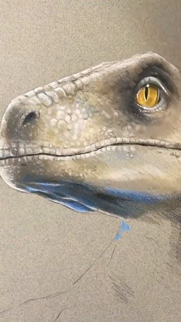 Drawing of Blue Velociraptor #drawing #art #blue #velociraptor смотреть онлайн