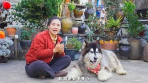 读网友的评论给大王听！也想对你们说些心里话｜阿盆姐家的日常