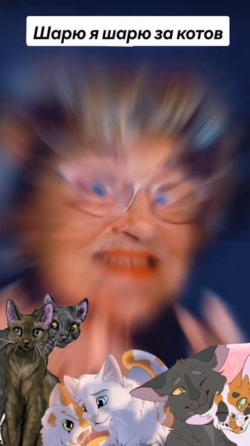 коты воители приколы смотреть онлайн
