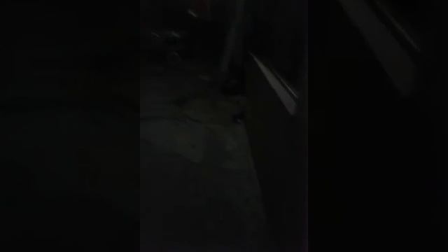 Morena 11 años смотреть онлайн