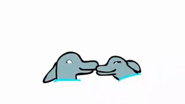 Dolphin Love Before Bg