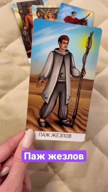 Паж жезлов #shorts #tarot смотреть онлайн