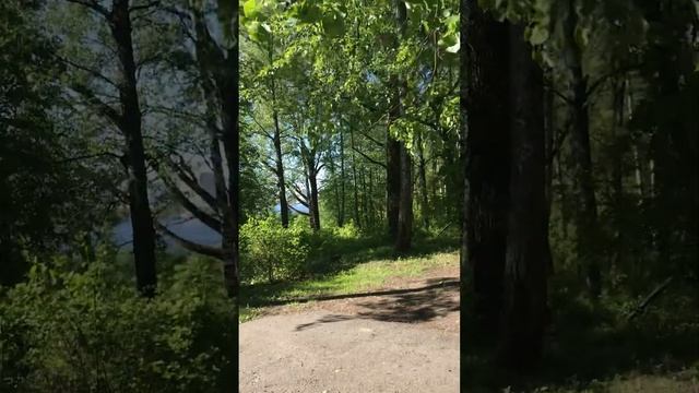 LENA🌺LETO: ЧАШИН КУРГАН. БРЯНСК. #lenaleto #рекомендации #история #хочуврек #пустьговорят #рек смотреть онлайн