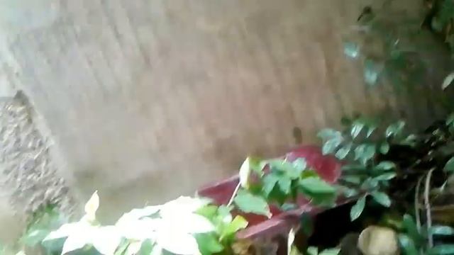 OUTDOOR UNFINISH FOR DECADE | MERON PA KAYA PAG-ASA PA BA? | Simple Living Philippines смотреть онлайн