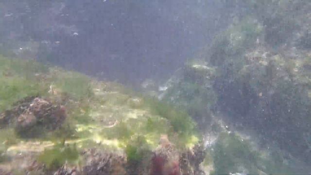 Xiaomi Mijia 4K Mini Camera Video Sample @ Jupiter - Black Sea sample 3 смотреть онлайн