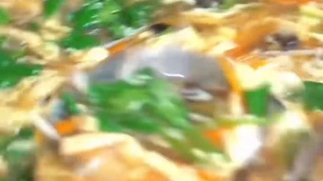 乡村美女大厨现场制作一道“豆芽芹菜肉”