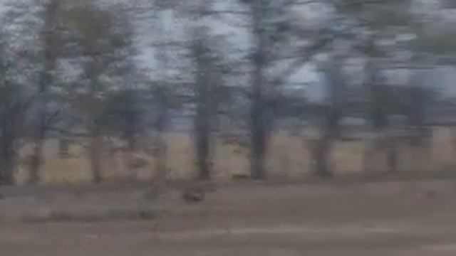 Фильм22.wmv