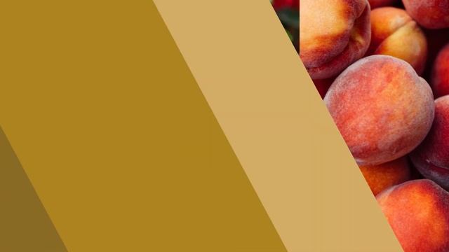 COLOMBIAN SIBERIA GEISHA COFFEE смотреть онлайн