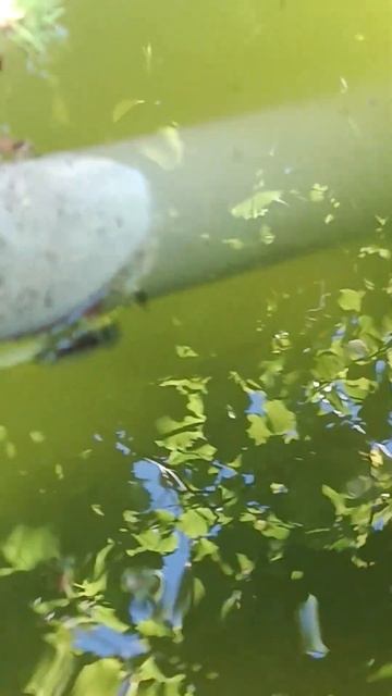 21 июня 2024 г. смотреть онлайн