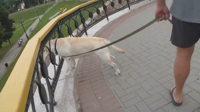 Я превратилась в Элис!Яд!!! смотреть онлайн
