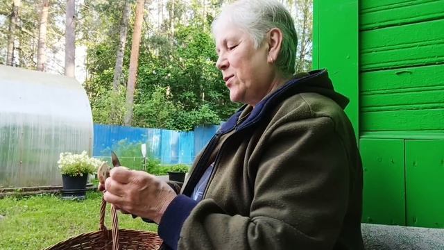 "Жизнь на пенсии"... Занималась переборкой грибов🍄. смотреть онлайн