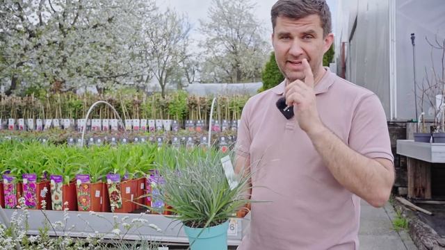 Jakie rośliny do ogrodu? Super rośliny - moje propozycje смотреть онлайн