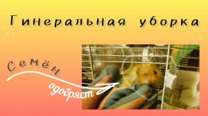 Генеральная уборка у хомяка.🐹 Как это сделать хорошо и не потратить пол дня? Делюсь своим опытом:)