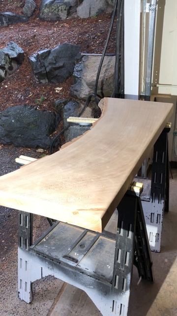 MY AWESOME SYCAMORE SLAB WITH LIVE EDGE!...I SCORED. Quick Look.