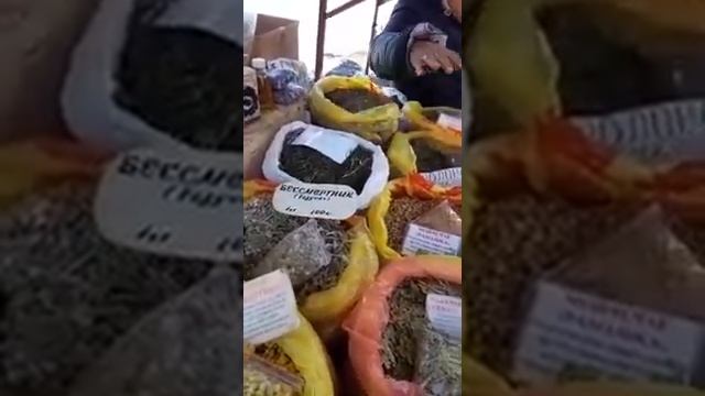 Джалал абад шаарындагы дары чоп смотреть онлайн