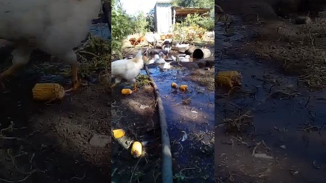 10 сентября 2022 г. смотреть онлайн