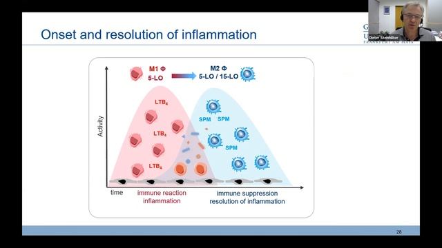 LIPID MAPS Webinar - Prof. Dieter Steinhilber - 28th February 2023 смотреть онлайн