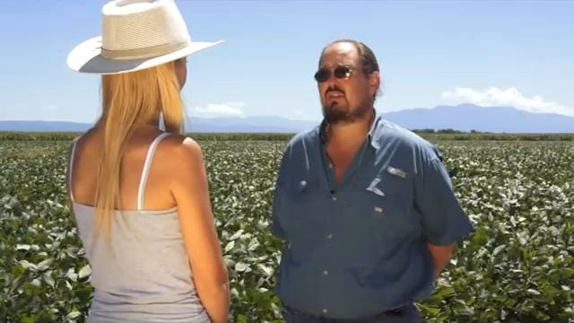 SIEMBRA Y COSECHA TV: Jornada sobre malezas resistentes a glifosato смотреть онлайн