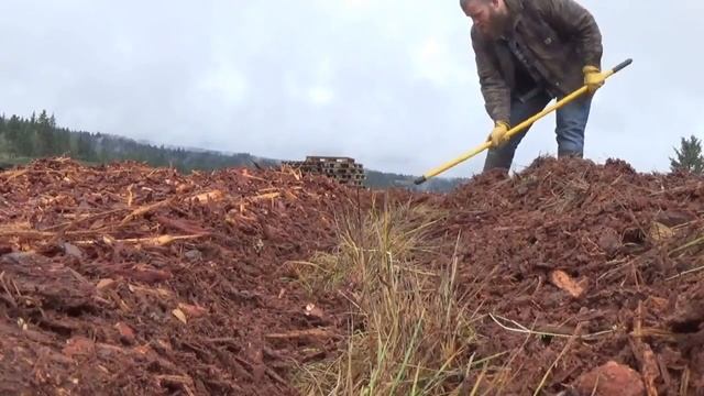 Easy Method for Planting Purple Potatoes смотреть онлайн