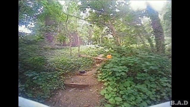 I almost deleted this whole video - Whoop coastal walk смотреть онлайн