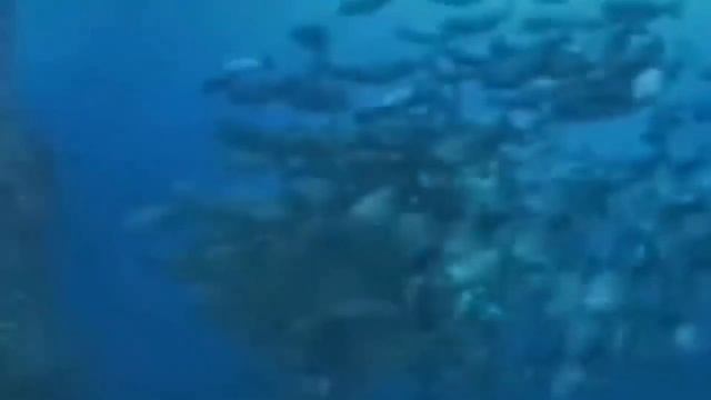 Гена на смотреть онлайн