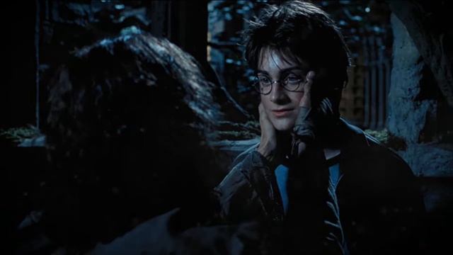 Sirius Black & Harry Potter's Theme (A Window to the Past). EPIC VERSION смотреть онлайн