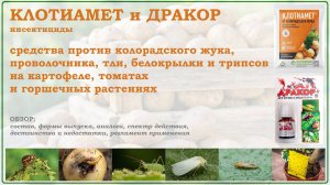 Клотиамет и Дракор - средства против колорадского жука, проволочника, белокрылки,тли и трипсов