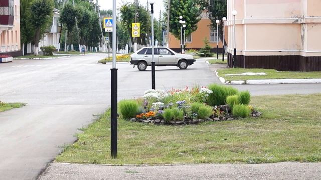 Кошка голуби итак кто кого? смотреть онлайн