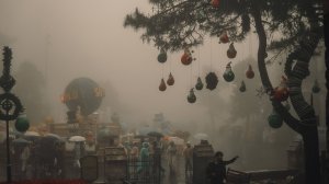 Дорога в Sun World