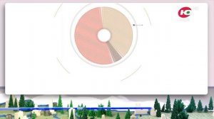 Малое и среднее предпринимательство